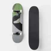 Canadese gans skateboard (Voorkant)