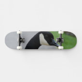 Canadese gans skateboard (Horizontaal)