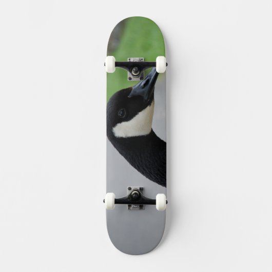 Canadese gans skateboard (Voorkant)