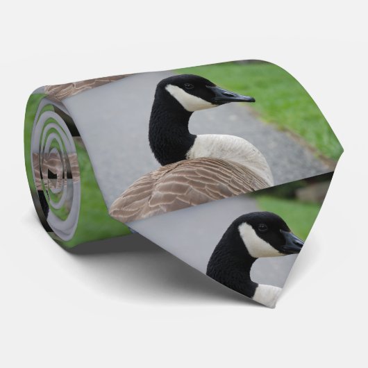 Canadese gans stropdas (Opgerold)