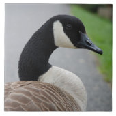 Canadese gans tegeltje (Voorkant)