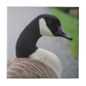 Canadese gans tegeltje (Voorkant)