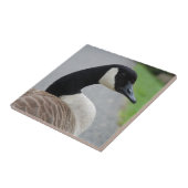 Canadese gans tegeltje (Zijkant)