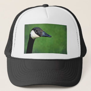 Canadese gans trucker pet