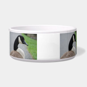 Canadese gans voerbakje