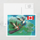 Canadese ganzen briefkaart (Voorkant / Achterkant)