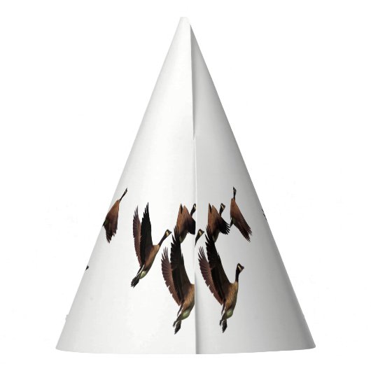 Canadese ganzen die in een kinder ontwerp van een feesthoedjes (Achterkant)