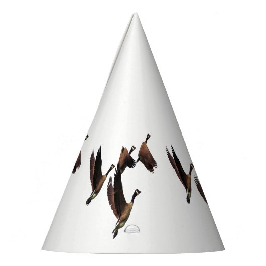 Canadese ganzen die in een kinder ontwerp van een  feesthoedjes (Links)