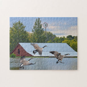 Canadese ganzen die op de Pond landen Legpuzzel