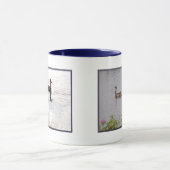 Canadese Ganzen/Duck Families Mok (Midden)