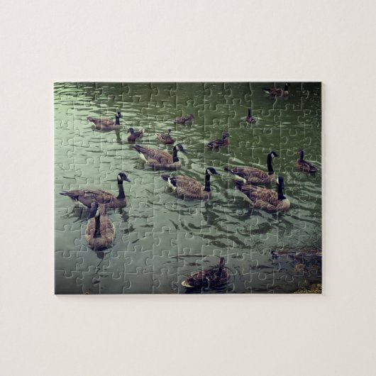 Canadese ganzen en Mallard Ducks Jigzaag Puzzle Legpuzzel (Horizontaal)