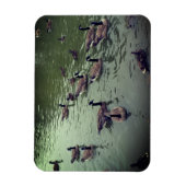 Canadese ganzen en Mallard Ducks Magnet Magneet (Verticaal)