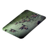 Canadese ganzen en Mallard Ducks Magnet Magneet (Linkerzijde)