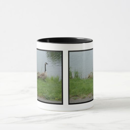 Canadese Ganzen Familie Mok (Midden)