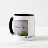 Canadese ganzen familie op Lake Mok (Voorkant links)