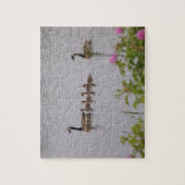 Canadese Ganzen Familie Zwemmen puzzel Legpuzzel (Verticaal)