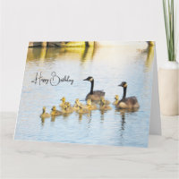 Canadese ganzen & Goslings - Verjaardag Kaart