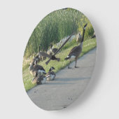 Canadese ganzen grote klok (Hoek)