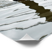 Canadese ganzen hebben een gander! perfect poster (Hoek)