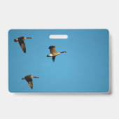 Canadese ganzen in vlucht badge (Achterkant)