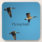 Canadese ganzen in vlucht bier onderzetter (Voorkant)