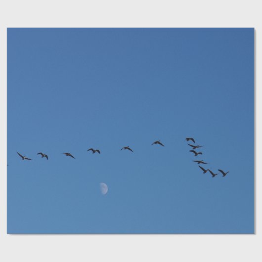 Canadese ganzen in vlucht cadeaupapier (Vlak)