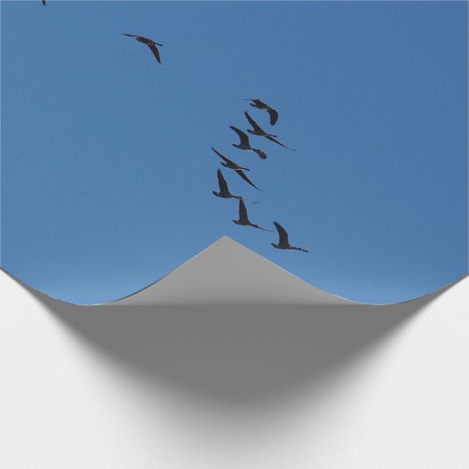 Canadese ganzen in vlucht cadeaupapier (Hoek)