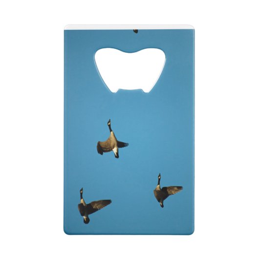 Canadese ganzen in vlucht creditkaart flessenopener (Achterkant)