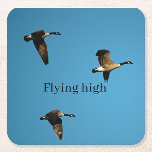 Canadese ganzen in vlucht kartonnen onderzetters (Voorkant)