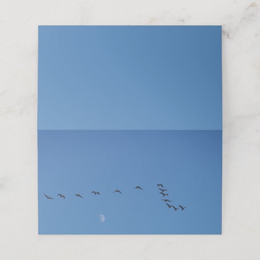 Canadese ganzen in vlucht plaatskaartje (Buitenkant ongevouwen)