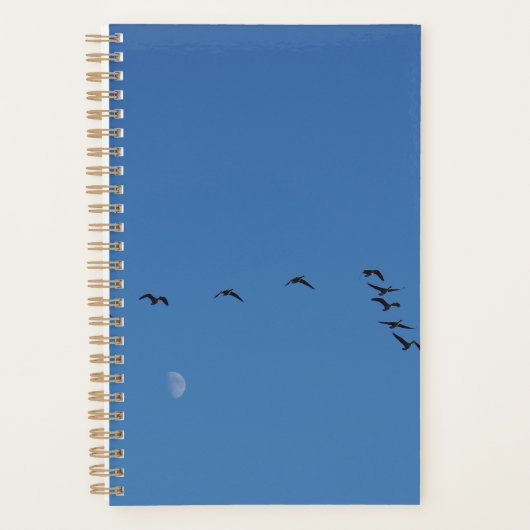 Canadese ganzen in vlucht planner (Voorkant)