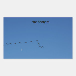 Canadese ganzen in vlucht rechthoekige sticker