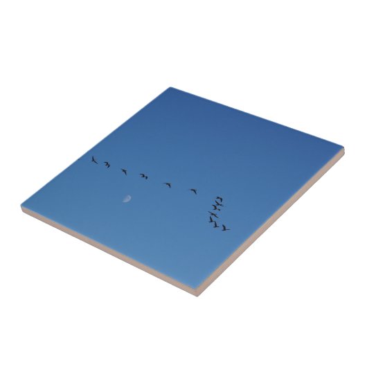 Canadese ganzen in vlucht tegeltje (Zijkant)