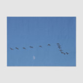 Canadese ganzen in vlucht tissuepapier (Voorkant)