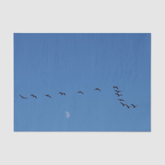 Canadese ganzen in vlucht tissuepapier (Voorkant)