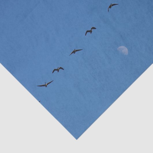 Canadese ganzen in vlucht tissuepapier (Detail)