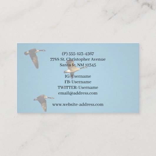 Canadese ganzen in vlucht visitekaartje (Achterkant)