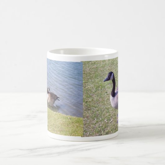 Canadese ganzen langs de Ottawa-rivier Koffiemok (Center)