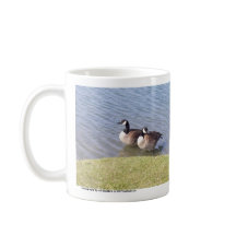 Canadese ganzen langs de Ottawa-rivier