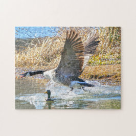 Canadese ganzen. legpuzzel