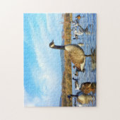 Canadese ganzen. legpuzzel (Verticaal)