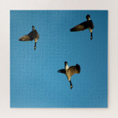 Canadese ganzen legpuzzel (Horizontaal)