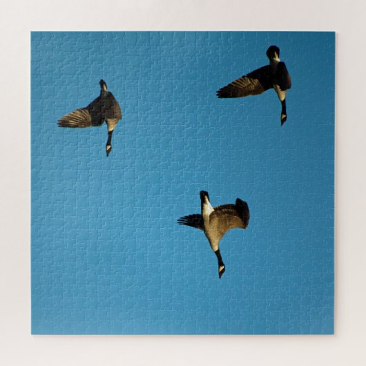 Canadese ganzen legpuzzel (Horizontaal)