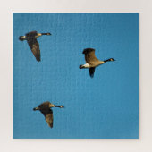 Canadese ganzen legpuzzel (Verticaal)