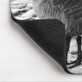 Canadese ganzen nabij het meer van Mousepad Muismat (Hoek)
