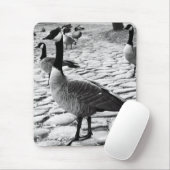 Canadese ganzen nabij het meer van Mousepad Muismat (Met muis)