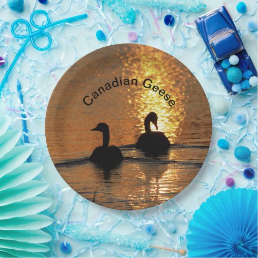 Canadese ganzen op Bord van zonnepapier (Feest)
