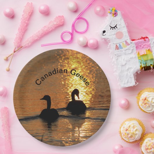 Canadese ganzen op Bord van zonnepapier (Feest)