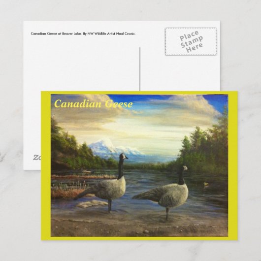 Canadese ganzen op het Beaver Lake. -briefkaart Briefkaart (Voorkant / Achterkant)