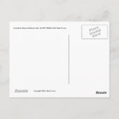 Canadese ganzen op het Beaver Lake. -briefkaart Briefkaart (Achterkant)